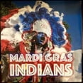 thumbnail image 1 of Mardi Gras Indien (Divers Artistes), 1 of 1