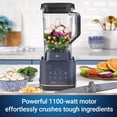 thumbnail image 3 of Oster 1100-Watt XL (72 oz) Professional Blender with Tamper Tool, 3 of 7