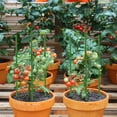thumbnail image 7 of Halatool 2 Pack Green Tomato Cages, Up to 63in(5.2FT) Adjustable Tall Tomato Plant Support, Garden Stakes Tomato Trellis for Pots & Vegetables Flowers, 7 of 7