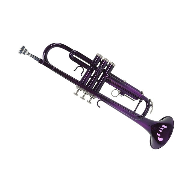 Trumpet Set, Durable Full Tone B Flat Trumpets Detachable Mouthpiece With Storage Bag For Music Learning Purple,Black