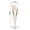 Transparent, variant on 25pcs 5Oz Clear Plastic Champagne Flutes Disposable Sparkling Bar Cups Toasting Wedding Party Wine Cup Crystal Wine Cocktail Cup