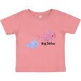 thumbnail image 3 of Inktastic Big Sister with Lil' Brother Girls Baby T-Shirt, 3 of 5