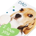 thumbnail image 5 of American Greetings Silly Father's Day Card for Dad (This Much!), 5 of 5