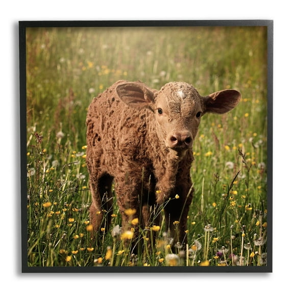 Stupell Industries Baby Calf Cow Among Flower Blossom Meadow Photograph Black Framed Art Print Wall Art, Design by Daphne Polselli