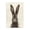 Brown Rabbit Portrait, variant on Stupell Industries Farmhouse Spirit Horse with Flowers Canvas Art, 16 x 20, by James Wiens