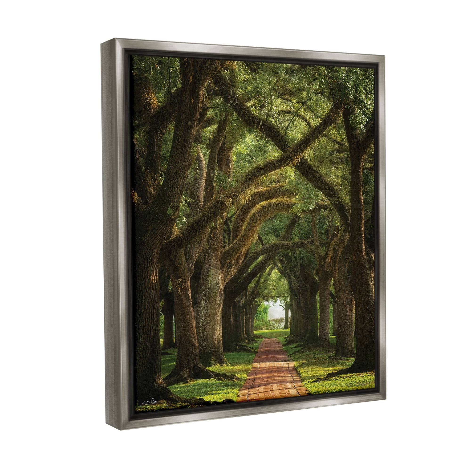 Stupell Industries Shadowed Tree Grove Landscape Photography Gray Floater Framed Canvas Art Print Wall Art, 17 x 21