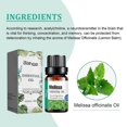 thumbnail image 4 of Melissa Officinalis Essential Oil, Moisturizing Massage Skin Body Care Improve Memory Melissa Officinalis Essence, 4 of 4