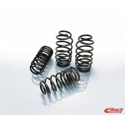 Eibach Springs