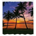 thumbnail image 3 of Ambesonne Tropical Shower Curtain, Palm Trees Sunset View, 69"Wx70"L, Multicolor, 3 of 3
