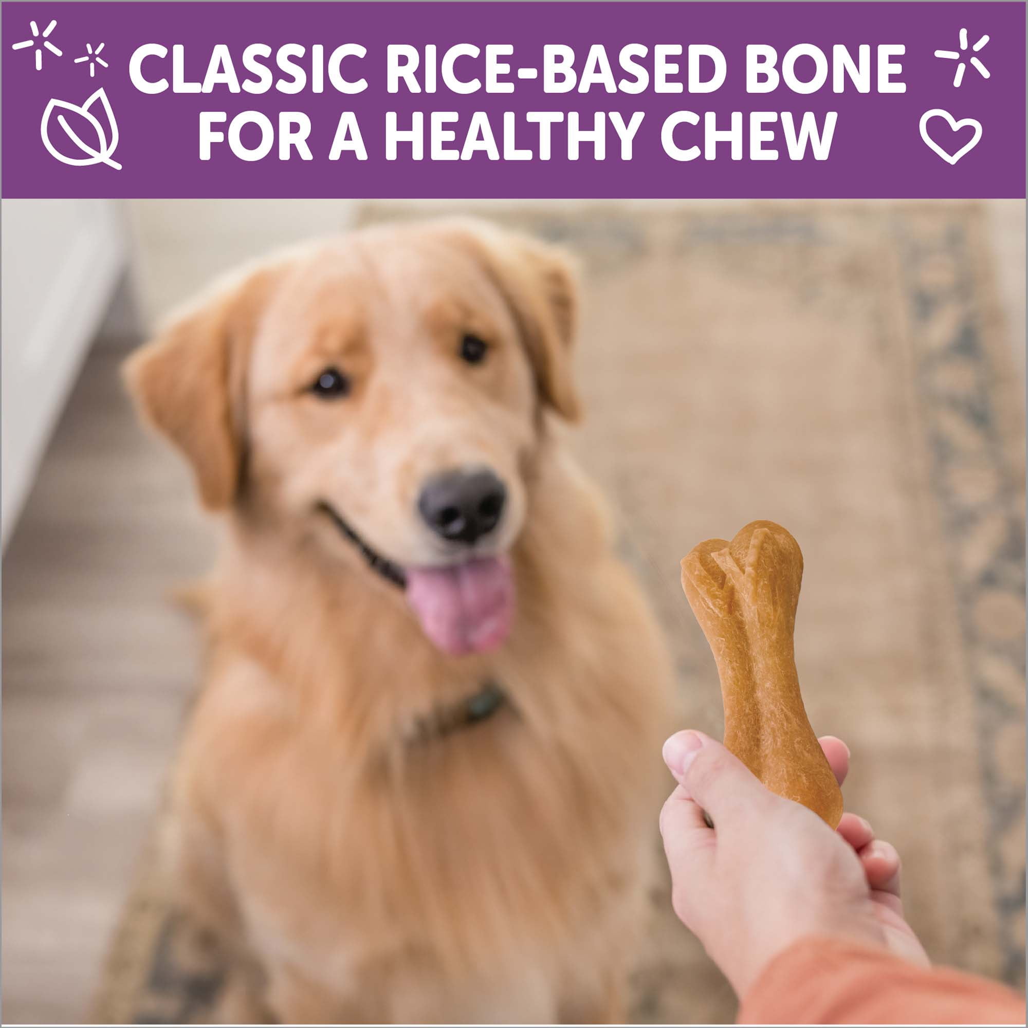 are rice bones ok for dogs