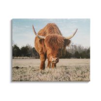 Stupell Farmhouse Highland Cattle Ranch Animals & Insects Photography Gallery Wrapped Canvas Print Wall Art