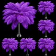 thumbnail image 1 of Plumas de avestruz Berlune, color morado, 30-35 cm, 150 unidades, 1 of 6