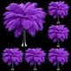 thumbnail image 1 of Plumas de avestruz Berlune, color morado, 30-35 cm, 150 unidades, 1 of 6