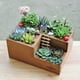 thumbnail image 3 of Jardín De Flores De Madera Planta Suculenta Maceta Caja De Almacenamiento Retro Decoración De Oficina (3, 3 of 6