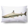 thumbnail image 1 of BOSDECO Taie d'Oreiller Requin Récif Pointe Noire Isolé sur Fond Blanc Housse de Coussin 20x30 Pouces, 1 of 1