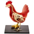 thumbnail image 3 of 4D Master Vision Chicken Anatomy Model Kit, 3 of 3