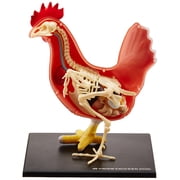 4D Master Vision Chicken Anatomy Model Kit