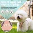thumbnail image 2 of Dog Harness and Leash Set, No Pull Pet Harness for Small Dogs Easy Walking,Soft Breathable Small Dog Harness,Adjustable Reflective Step in Vest Harness for Puppy,Kitten, Cats, 2 of 7