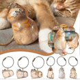 thumbnail image 2 of 2PCS Cat Hair Storage Bottle, Keychain for Collecting Cat and Dog Hair, Cats Whisker Jar, Cute Pet Memorial Gifts, Colorful Cat Keychain, 2 of 5