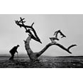 thumbnail image 2 of Tang, Wei 18x13 Black Ornate Wood Framed with Double Matting Museum Art Print Titled - Old Man And Tree, 2 of 4