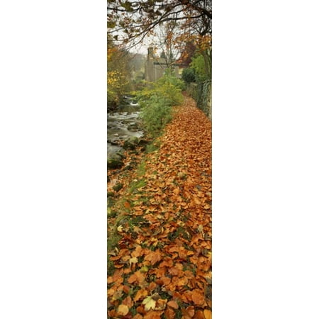 Leaves On The Grass In Autumn Sneaton North Yorkshire England United Kingdom Poster