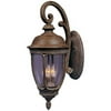 Three Light Seedy Glass Wall Lantern by Maxim 20466CDSE in Brown Finish