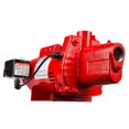 thumbnail image 1 of Bomba de chorro para pozos poco profundos Red Lion RJS-75-PREM 3/4 HP 16 GPM, 1 of 8