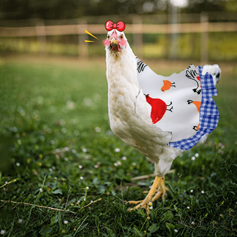 4 Pieces Chicken Saddle Chicken Jacket Straps Hen Apron