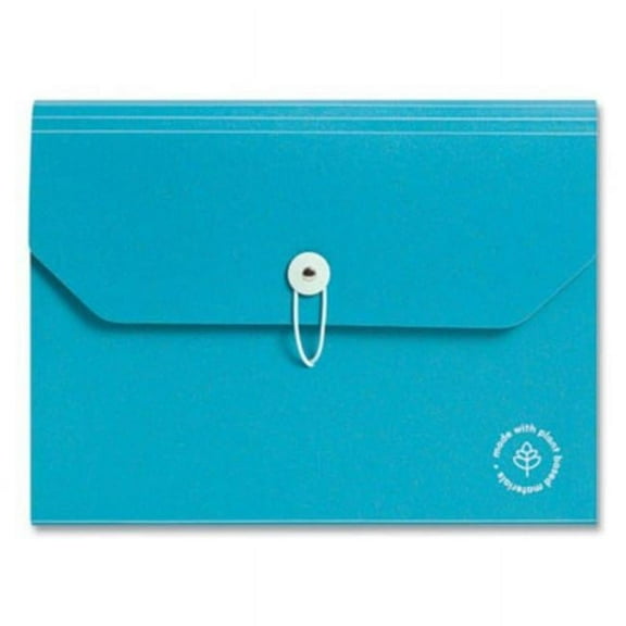 Ueco Expandable File Folder, Blue