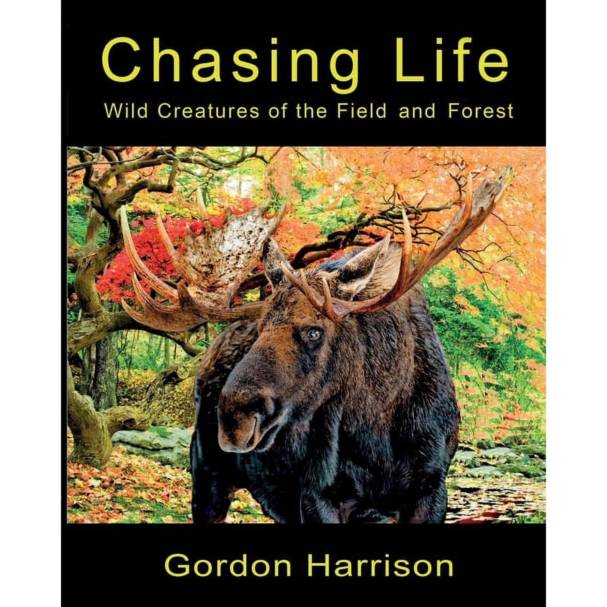 Chasing Life: Wild Creatures of the Field and Forest (Paperback)