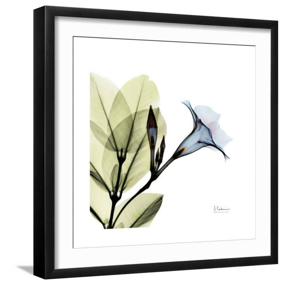 Art.com Mandelila Whisper Art Print by Albert Koetsier, Black Frame Wall Art, 21" x 21"