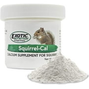 Squirrel Food Starter Package - Includes Nutritionally Complete Diet, Natural Treats & Healthy Vitamin Supplements - for Grey Squirrels, Ground Squirrel, Chipmunks, Flying Squirrels