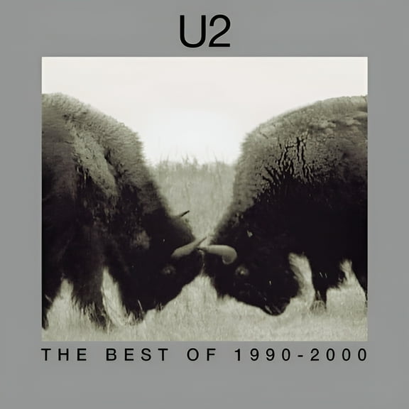 U2 - The Best Of 1990-2000 - Music & Performance - Vinyl