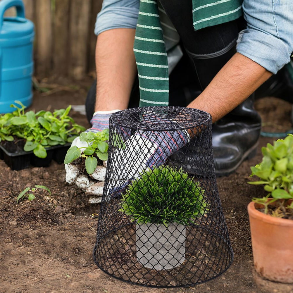 WEUVEB 2-Pack Strawberry Plant Protector Cages for Garden Vegetables, Fruit Plants, and