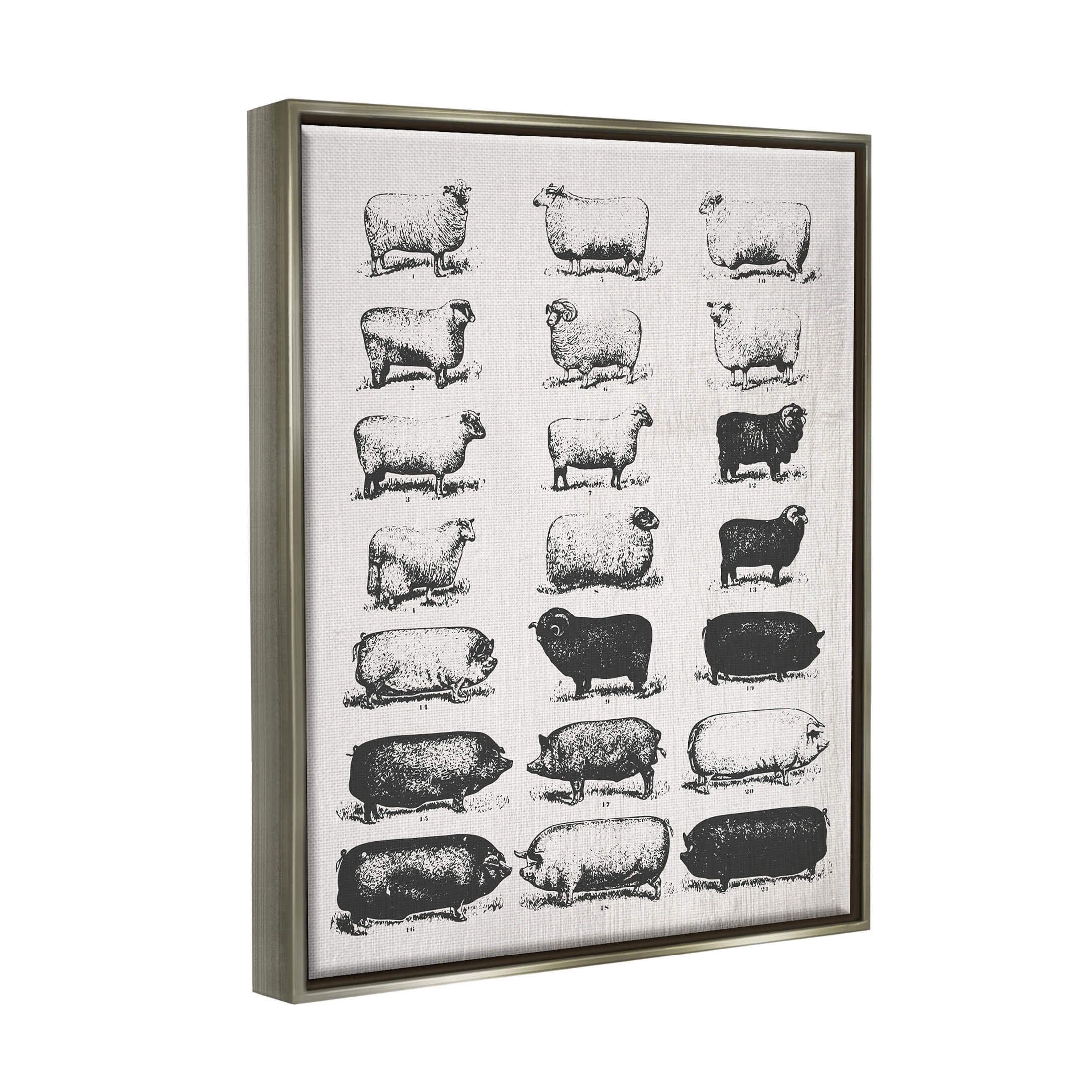 Stupell Industries Vintage Farm Animal Chart Graphic Art Luster Gray Floating Framed Canvas Print Wall Art, Design by Daphne Polselli
