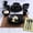 Black (Soho Lounge), variant on Reactive Glaze Stoneware Dinnerware Set, Service for 4 (16pc),