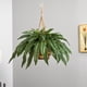thumbnail image 4 of Wosthever Plantas artificiales colgantes, fácil de limpiar, decoración para colgar en la pared, planta colgante para interiores o exteriores Decoración verde 6 pulgadas, 4 of 6