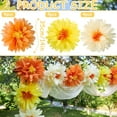 thumbnail image 2 of Dalrosia Daisy Tissue Paper Pom Poms, Wildflower Party Decorations, Premium Paper Flowers Decorations for Wall, 1st Birthday, Baby Shower, Wedding, Wall Classroom, Nursery Decor, 2 of 5