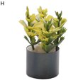 thumbnail image 1 of HEVIRGO Mini Simulation Plantes en Pot Finition Fine d'Exécution Vive Maison de Poupée Accessoire Maison de Poupée Décor Simulation Plantes en Pot pour Enfants, 1 of 10