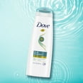Dove Daily Moisture Nourishing 2in1 Shampoo and Conditioner, 20.4 fl