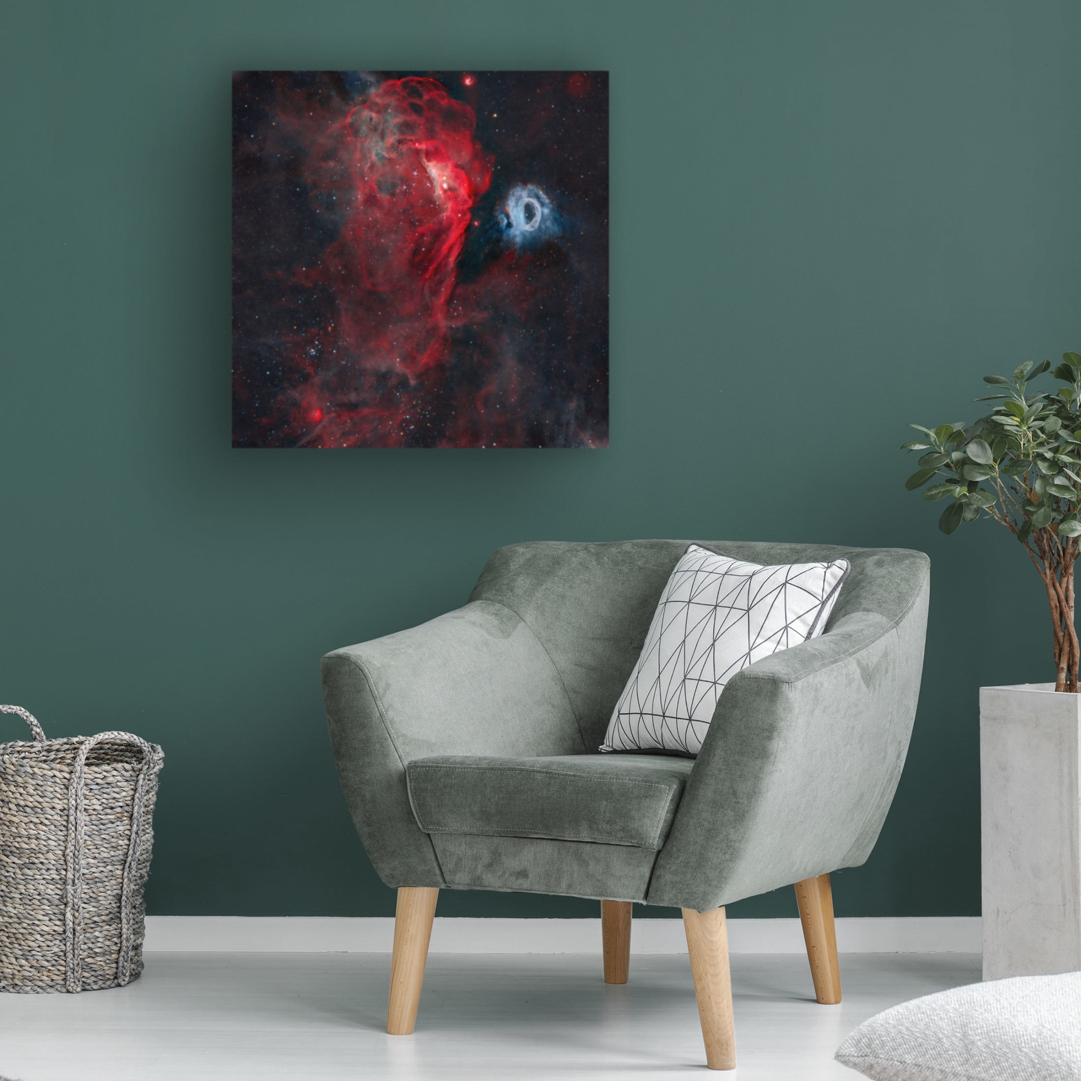 Trademark Fine Art Vikas Chander The Cosmic Reef Canvas Wall Art