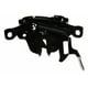 thumbnail image 1 of Chapa Para Cofre Sentra 2004 A 2006 Nissan Generica ., 1 of 4