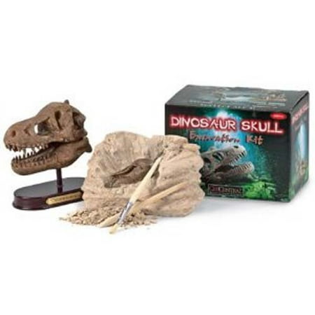Excavation Dig Kit: Dino Skull, It's A Dino Skull, You Dig? Yes, you do dig. And when you're finished digging, chipping, and brushing away the 6.75 x 3.5 x 3.87.., By GeoCentral From