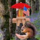 thumbnail image 5 of Comedero para pájaros ardilla de madera maciza | Colgante colgante de jardín al aire libre | Diseño de madera duradero con bandera | Perfecto para nueces y maíz | 21x18x18cm | Fácil instalación |, 5 of 7