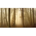 thumbnail image 2 of Maier, Norbert 32x19 Black Ornate Wood Framed with Double Matting Museum Art Print Titled - Into The Trees, 2 of 4