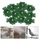 thumbnail image 4 of Anillos para patas de pájaros,Anillos para patas de pájaros Clip en bandas plásticas para patas de palomas,Herramienta de identificación de animales para identificar aves de, 4 of 8