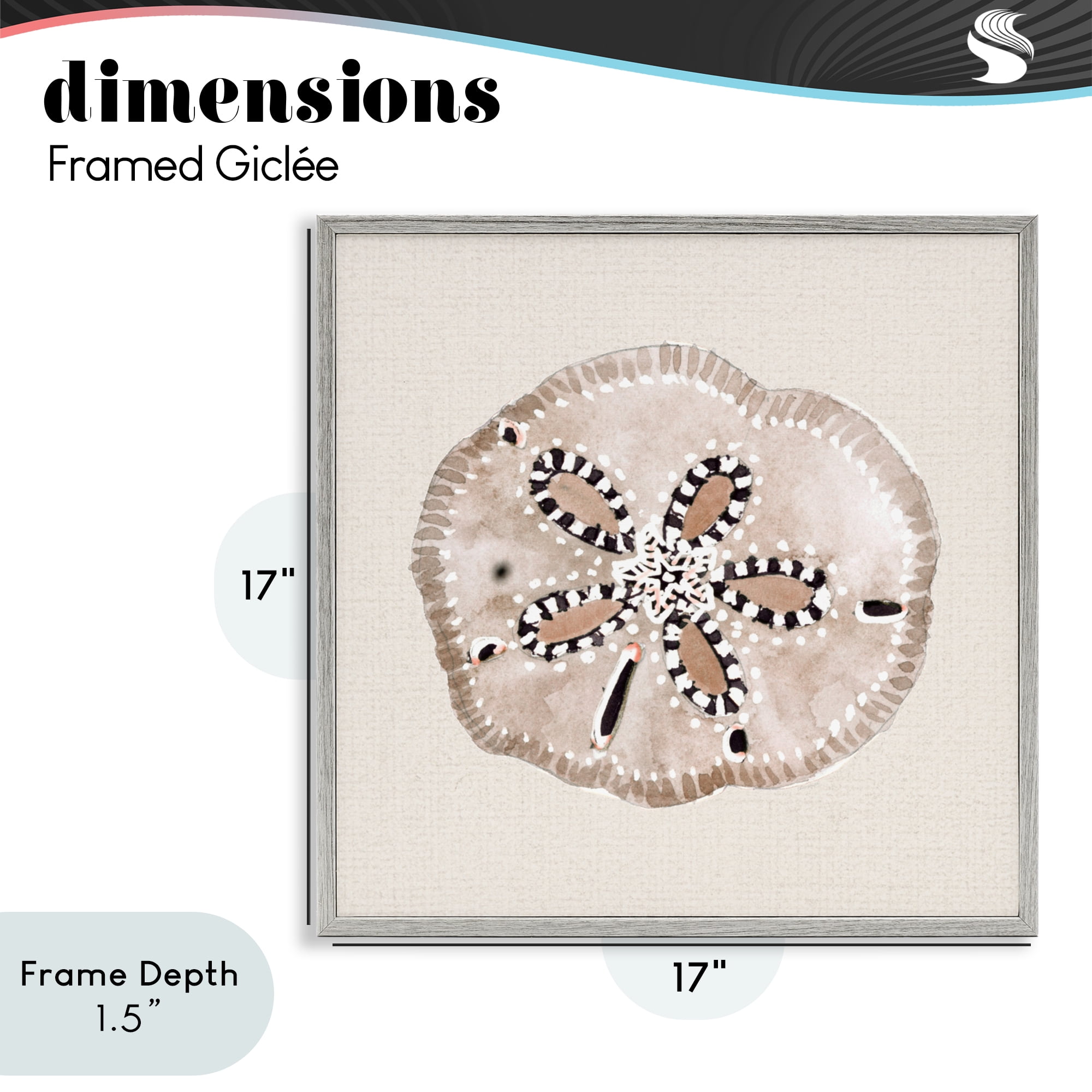 Stupell Industries Taupe & Beige Sand Dollar Gray Framed Giclee Art, design by Lanie Loreth