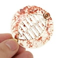 thumbnail image 5 of Unique Bargains 1 Pc Elegant Round Fish Shape Hair Clips Hairdo Clip Light Brown, 5 of 5