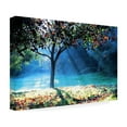 thumbnail image 3 of Trademark Fine Art Beata Czyzowska Young Rays of Hope Canvas Wall Art - 30x47, 3 of 5