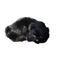 thumbnail image 2 of Transemion Wide Application Emulation Sleeping Breathing Cat For Soft Touch Safe Decoration black 1Set, 2 of 6